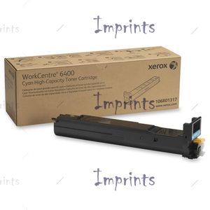 106R01317