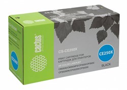 CS-CE250X