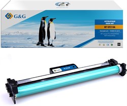 GG-CF219A