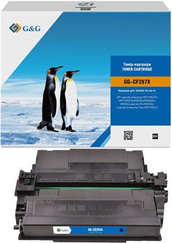 GG-CF287X
