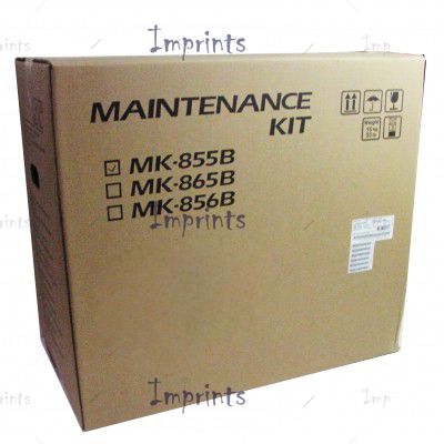 MK-855